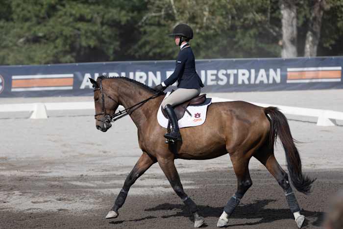 Lauren McCaulley of Auburn Equestrian
